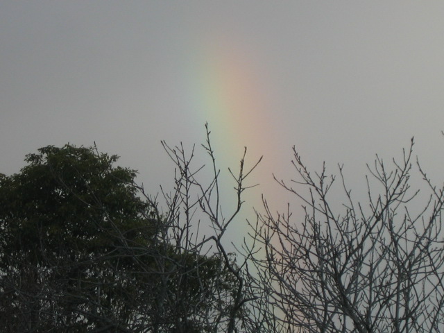 29 july Rainbow