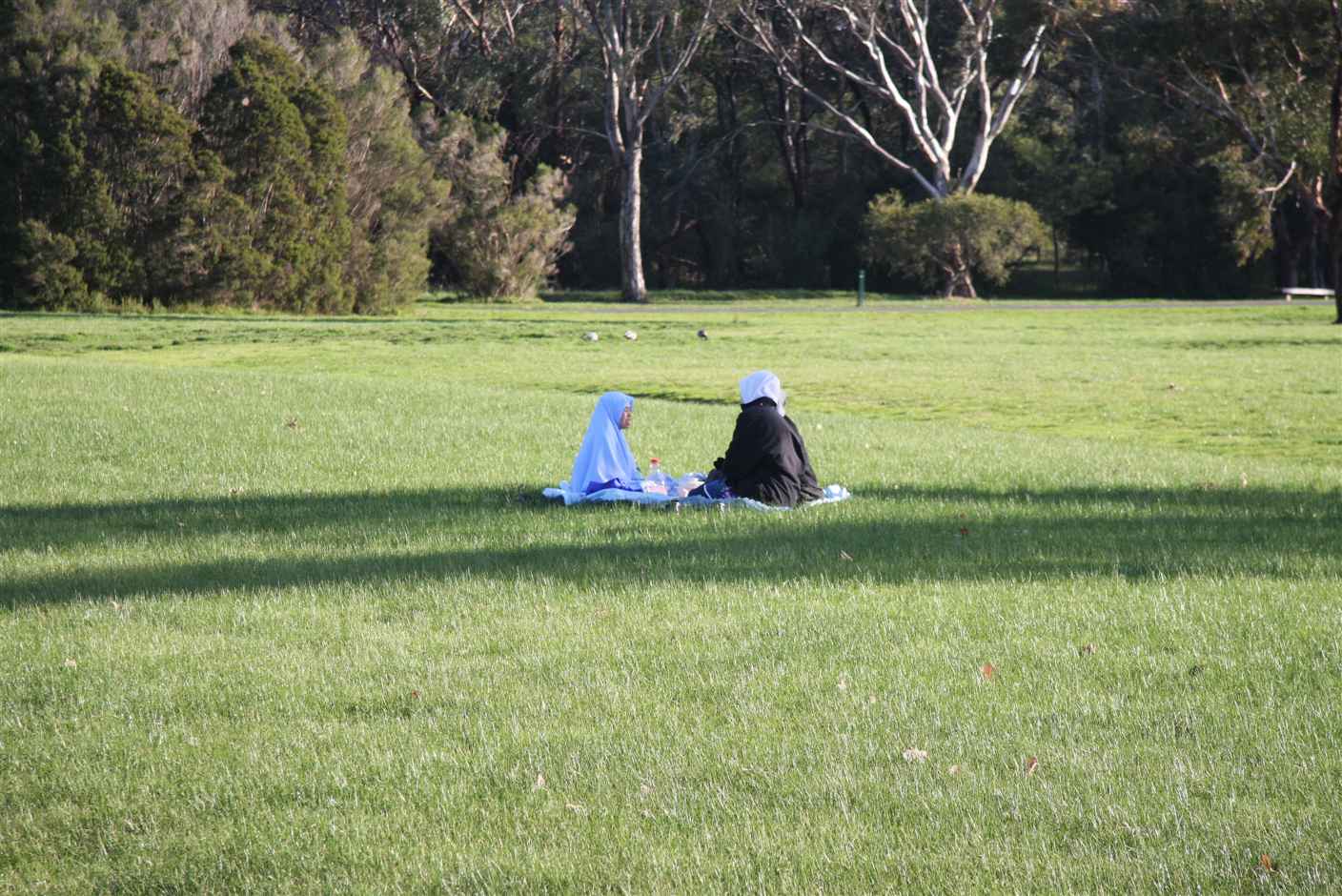 5 july A picnic in the park