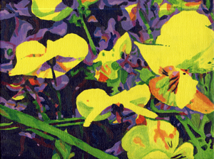 flower viola