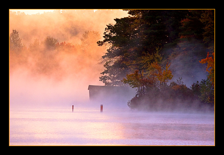 Morning Fog