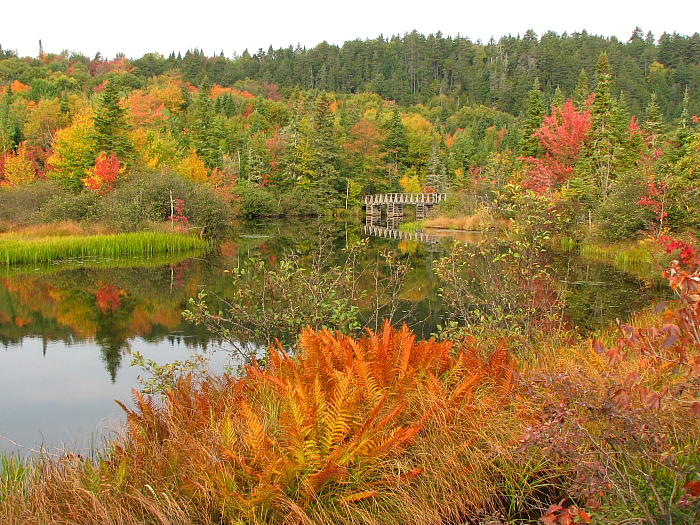 marais du nord.JPG