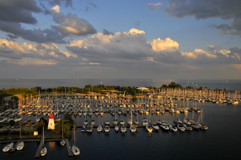 Harbour - Marina del Rey Toronto