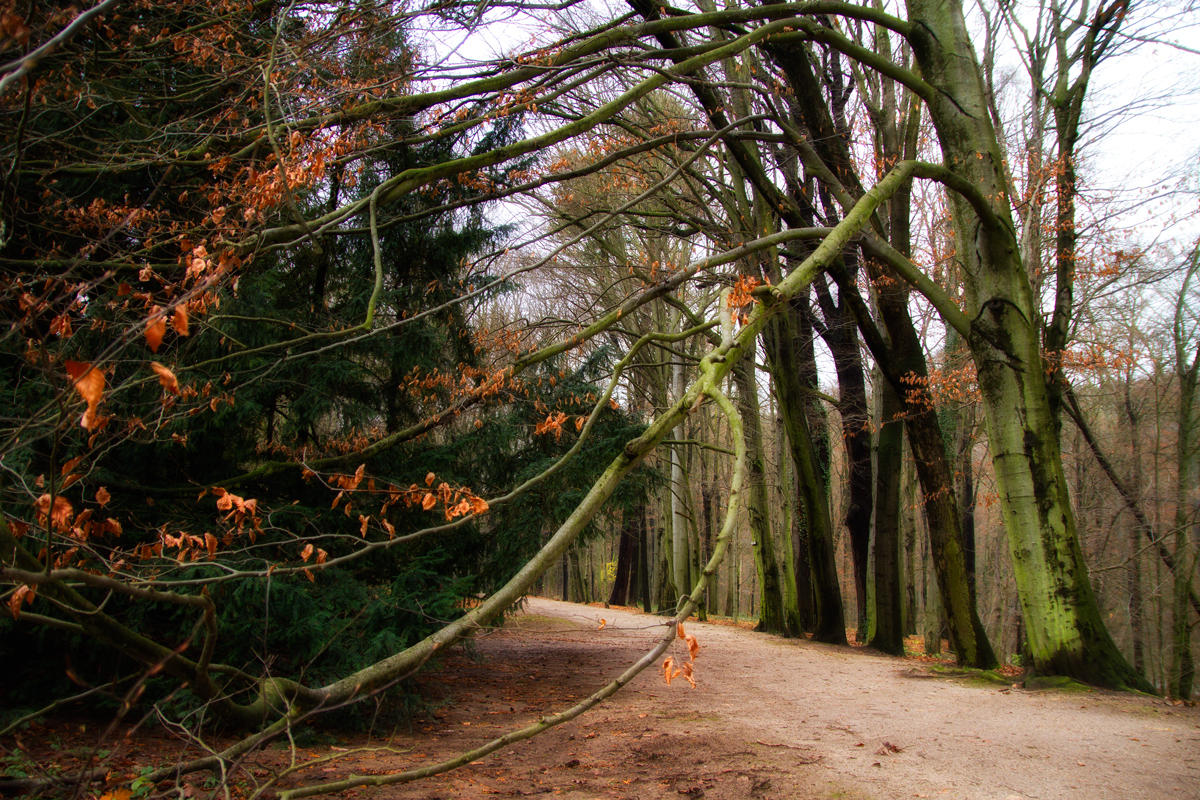 Schlosspark Lunzenau