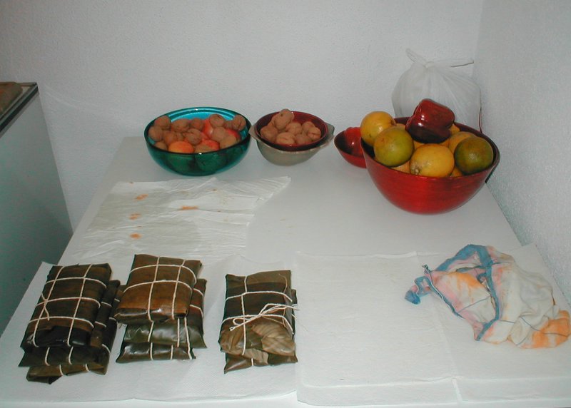 P1010272.JPG