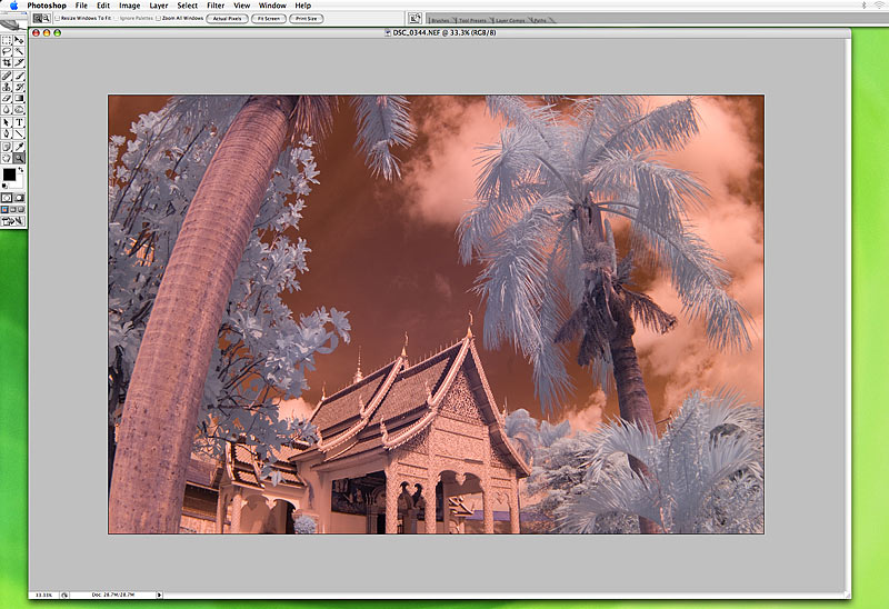 Here's the image as it appears opened in Photoshop. I currently use version CS2, but I'll be upgrading to CS4 soon.