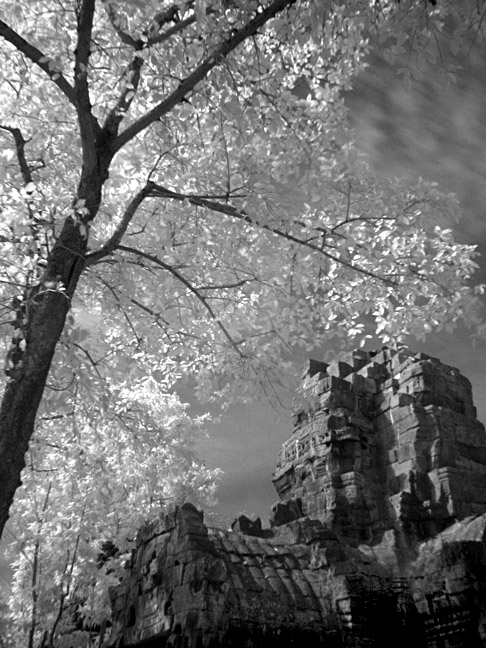 ...b&w infrared images...