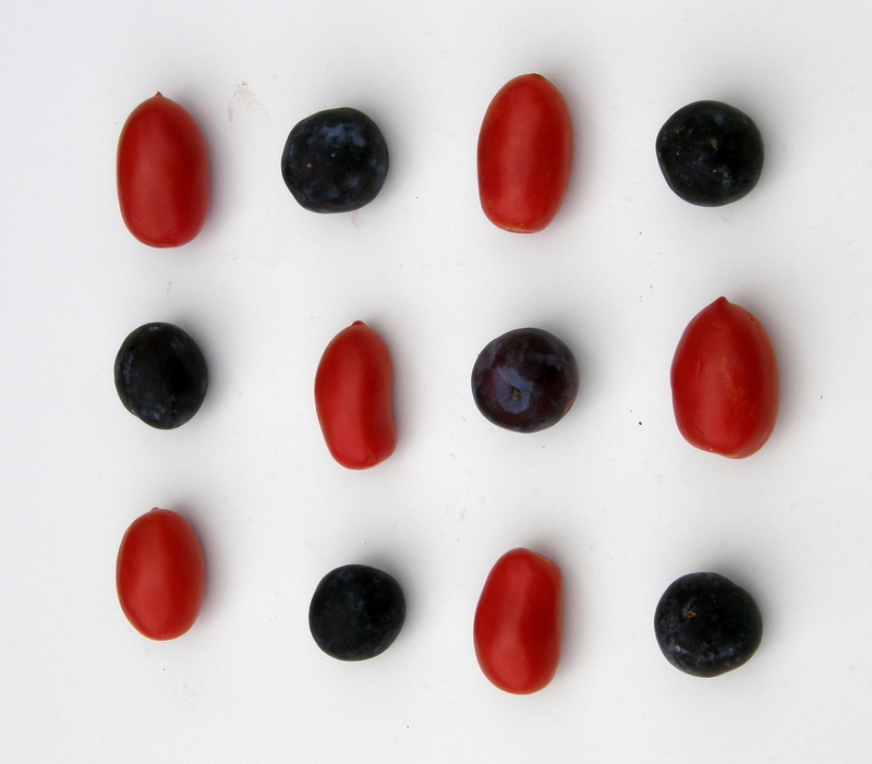 Tomatos&Plums
