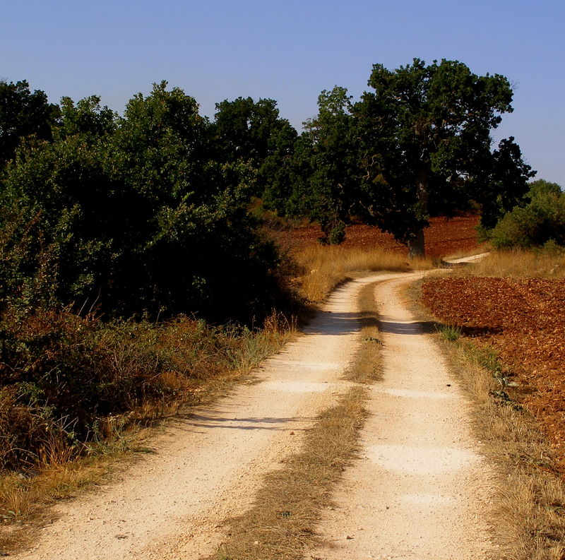Path