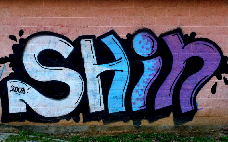 SHIN