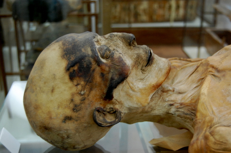 Mummies