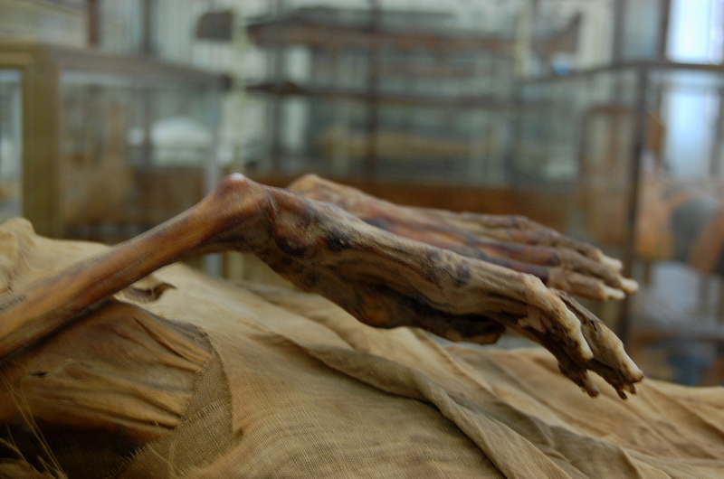 Mummies