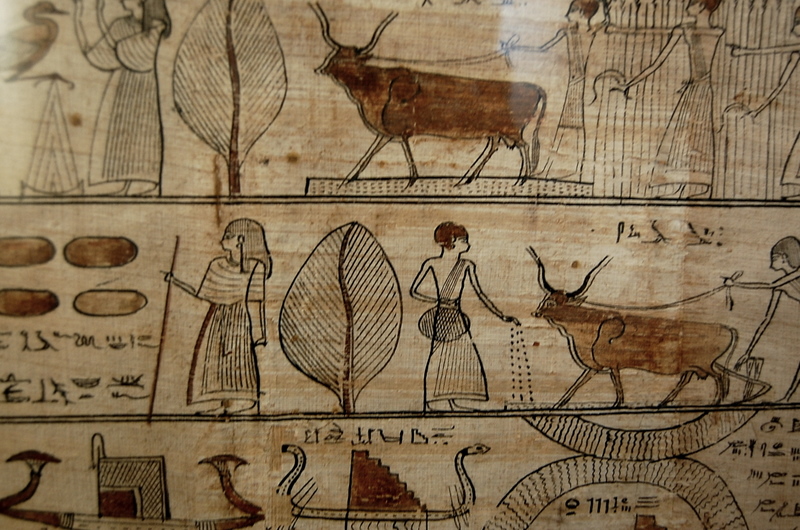 Egyptian Museum - Turin