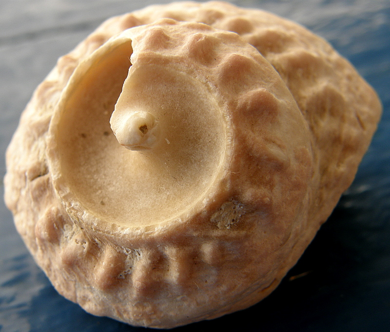 Mystery Macros