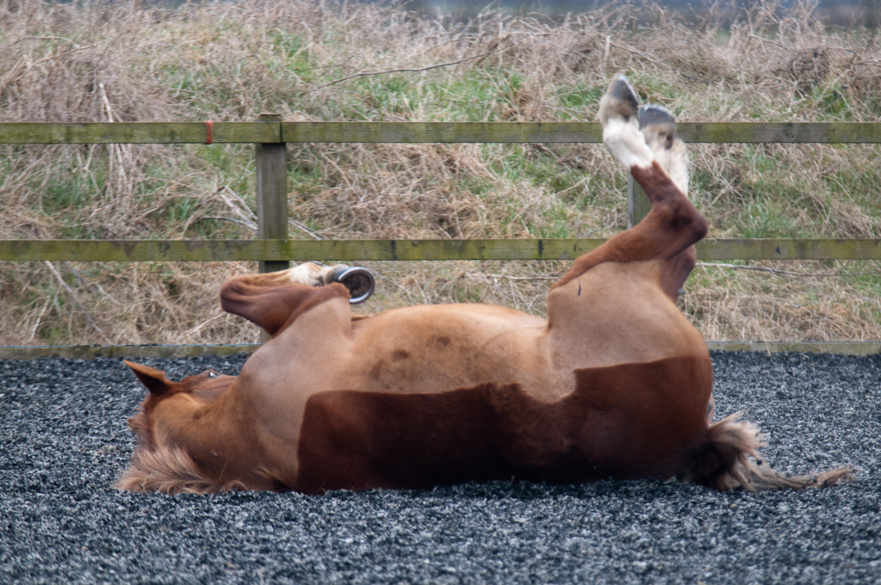 DSC_1559.jpg