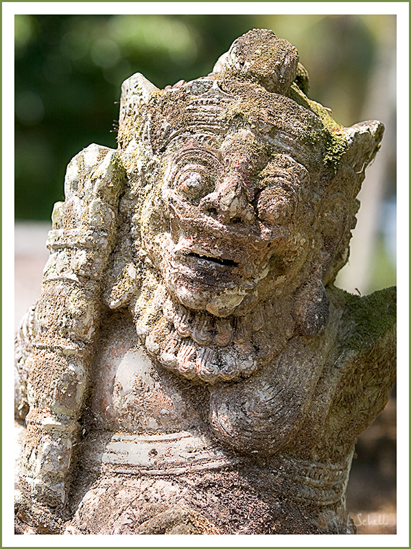 IMG_0453-f crop.jpg