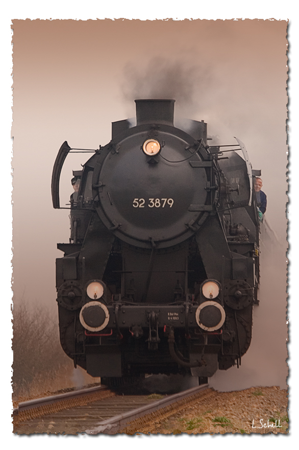 IMG_1218 crop b.jpg