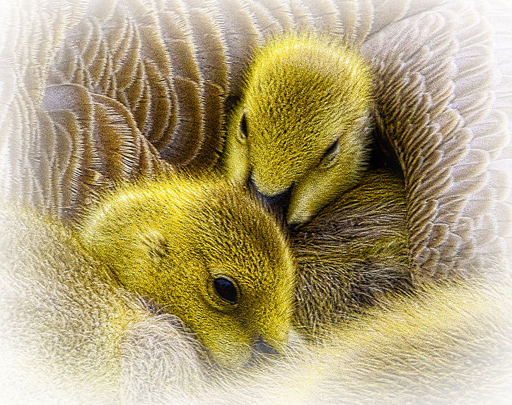 Happy And Warm