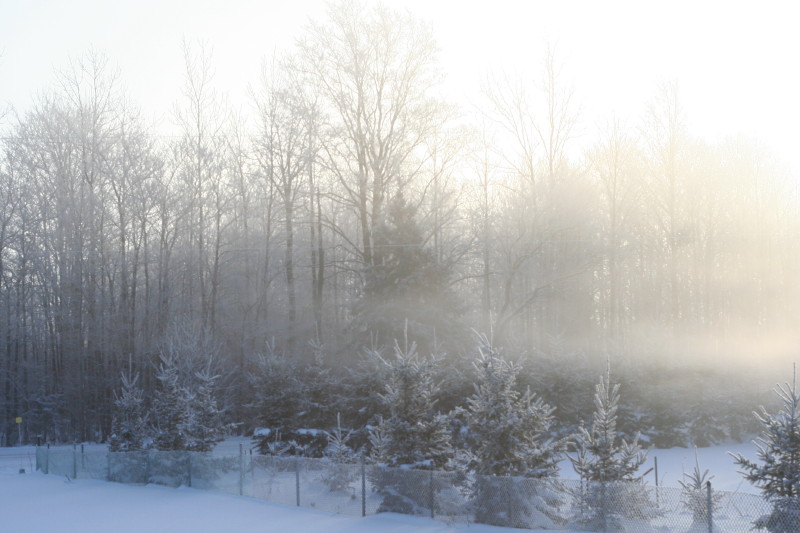 Morning mist 2