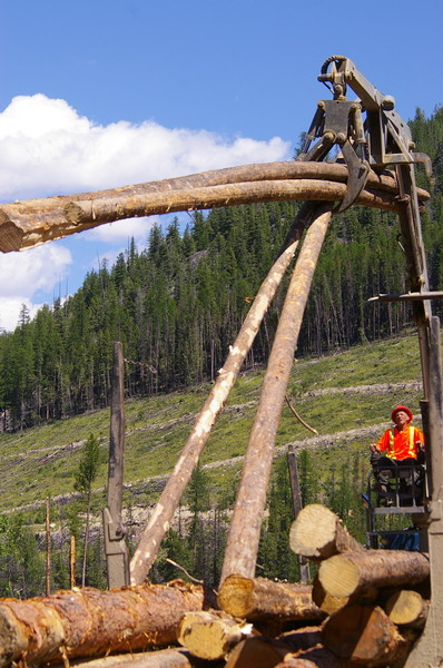 Operator loads a logging truck, while we wait to get by