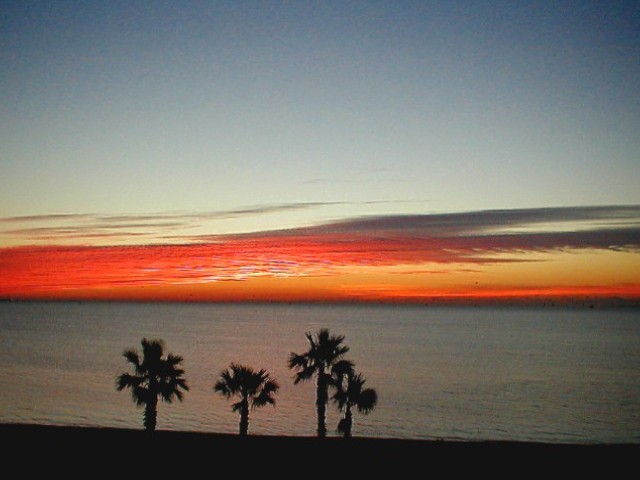 Four Palms Sunrise 2.