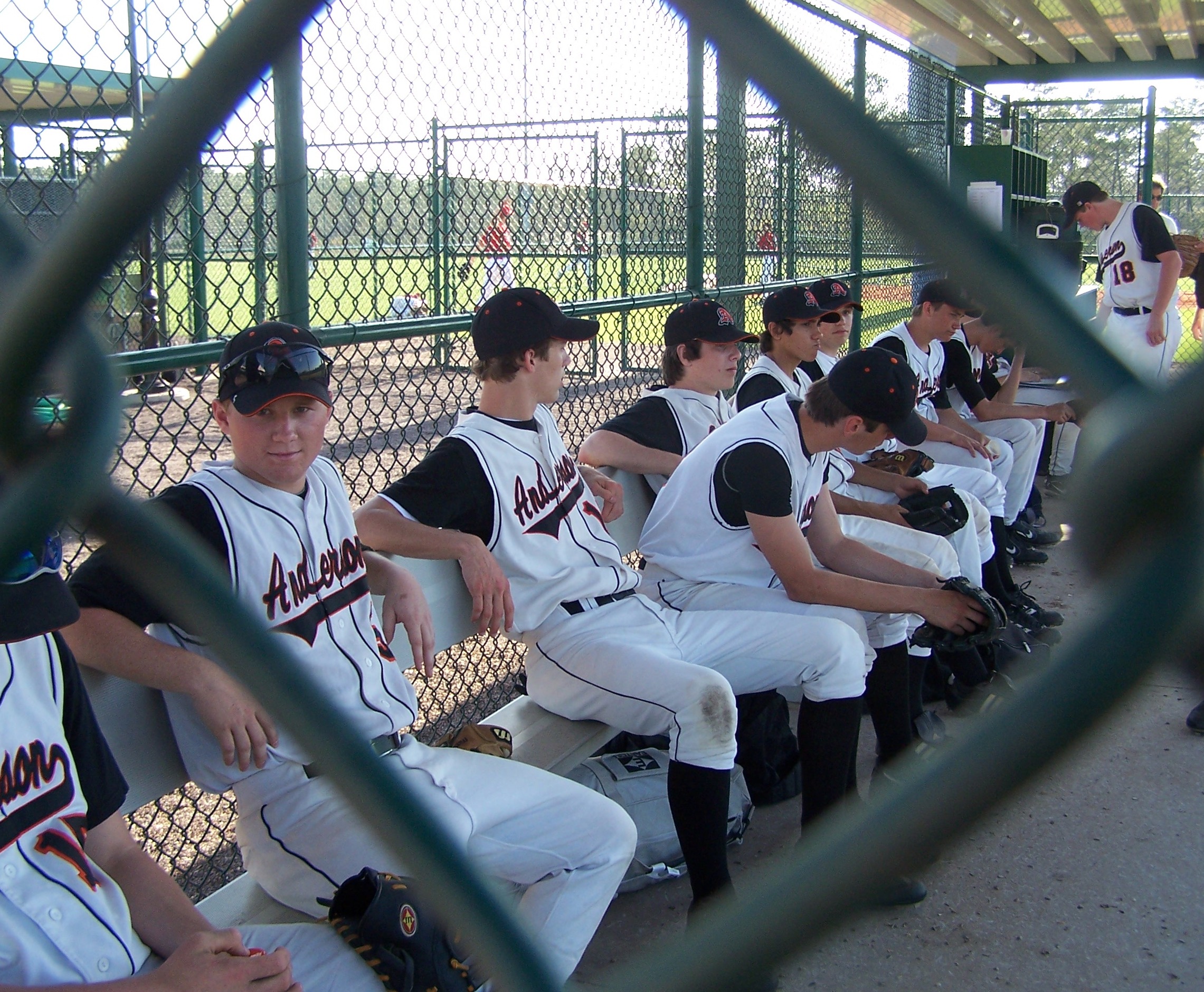 in the dugout