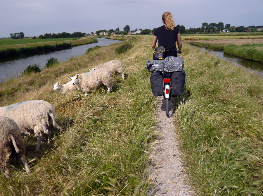 Waddenzeeroute