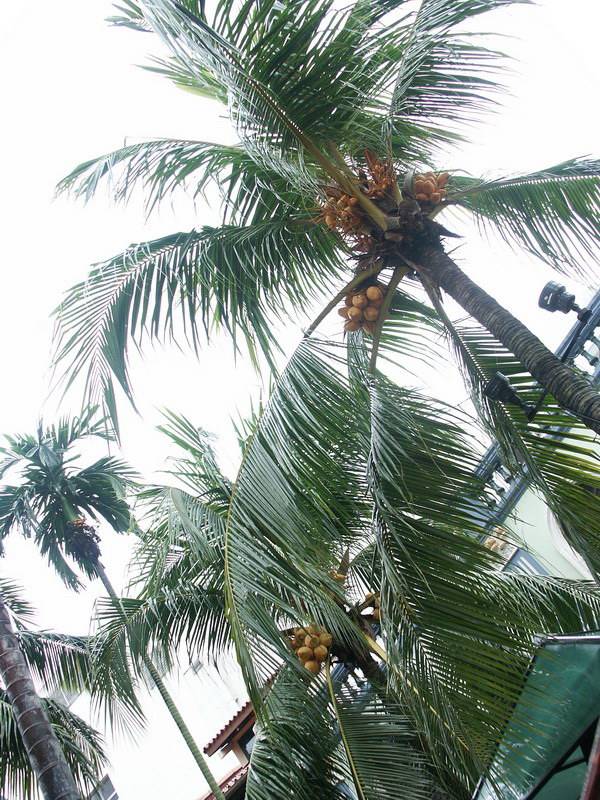 PICT0196.jpg