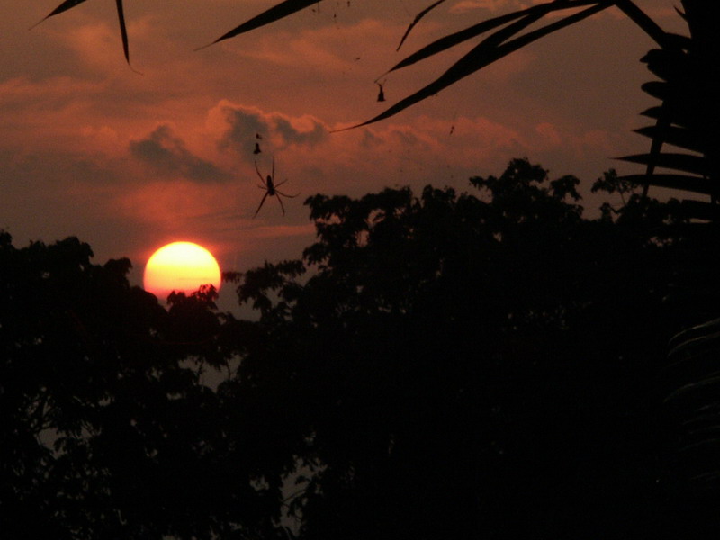 PICT0455.JPG