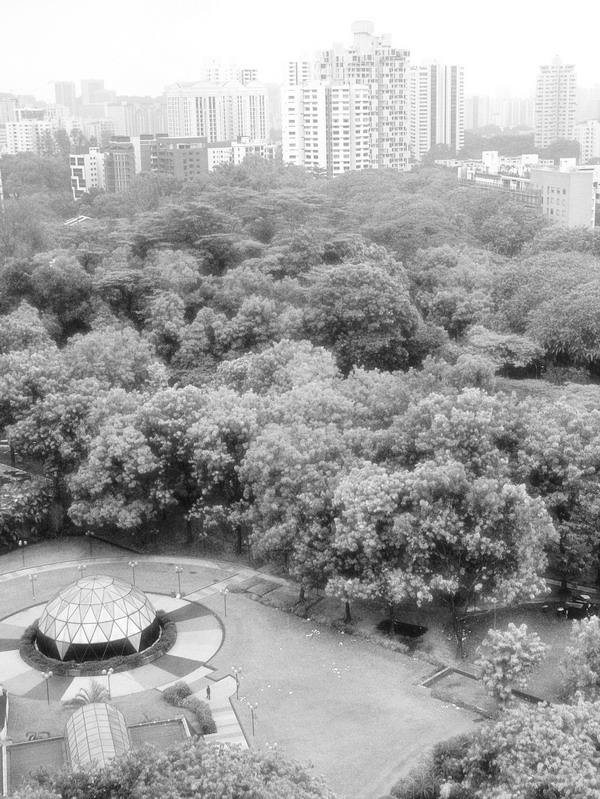 PICT0224_resize.JPG