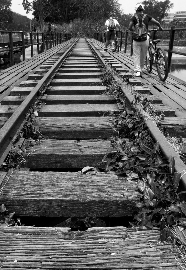 Bicyclin over the bridge