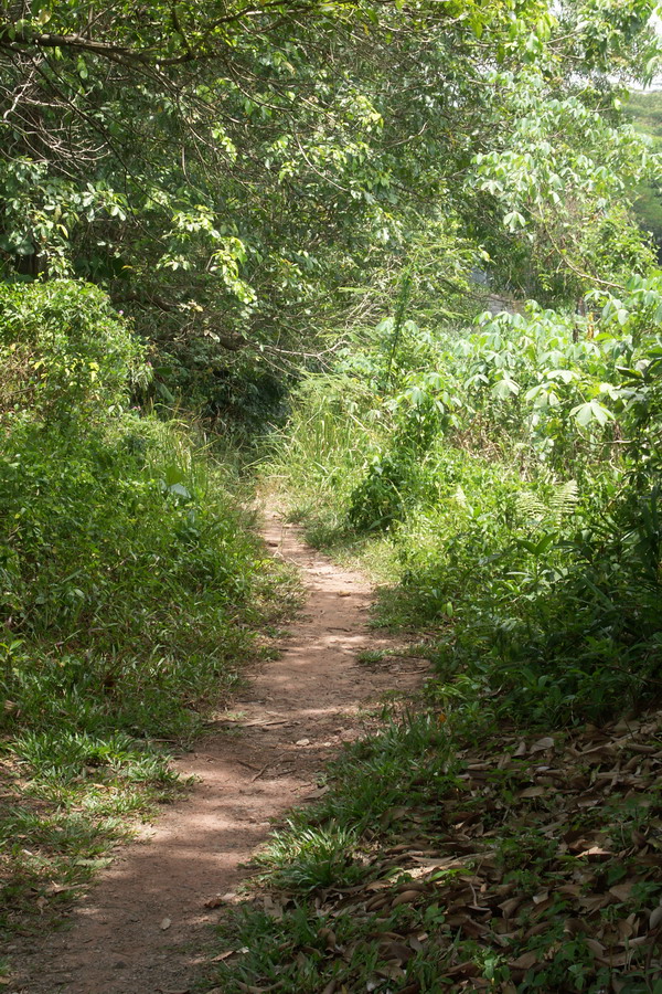 Pathway to?