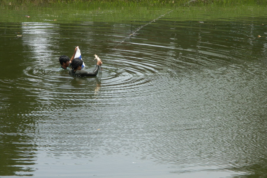 Catching fish