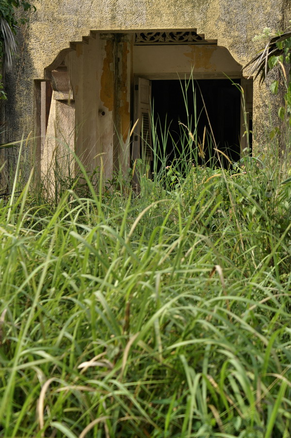 Overgrown