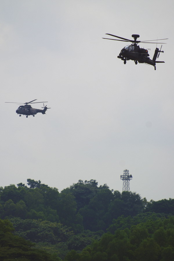 Super Puma/Apache