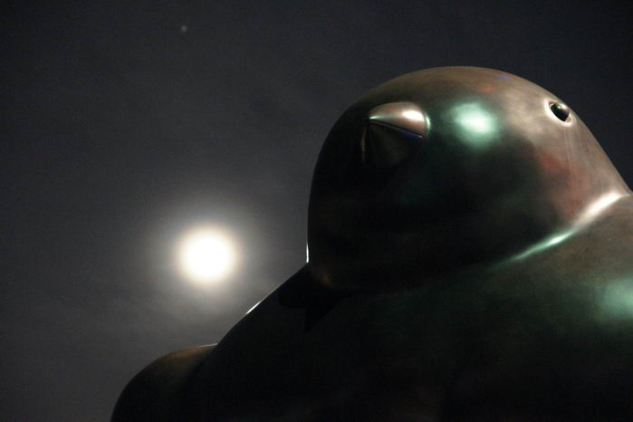 Botero Bird