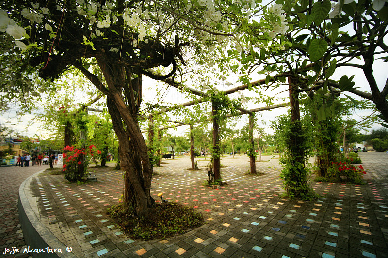 Peoples Park garden