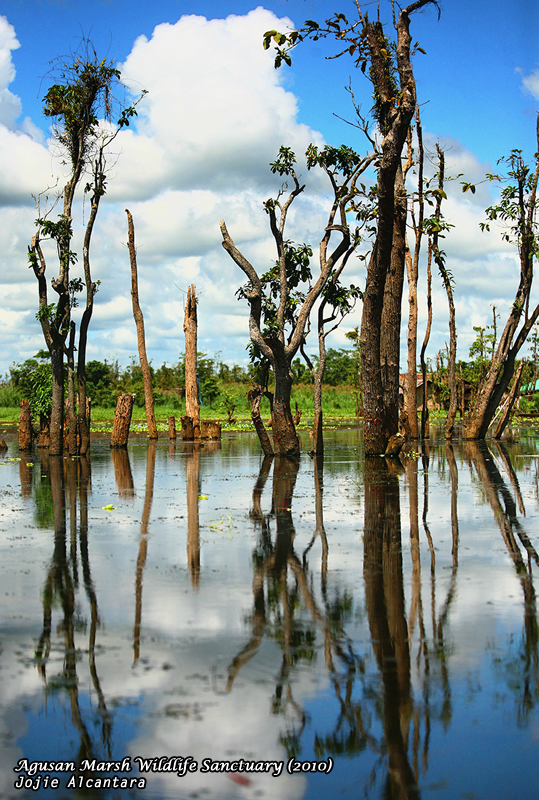 Lake Kaningbaylan, Agusan Marsh