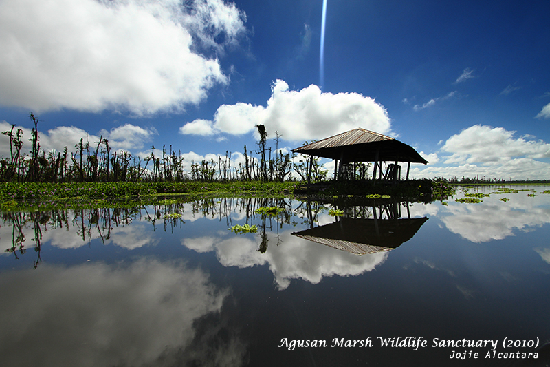 Lake Kaningbaylan, Agusan Marsh