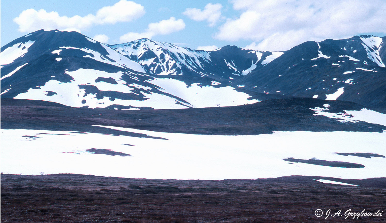 view along the Taylor Road, far w. Alaska