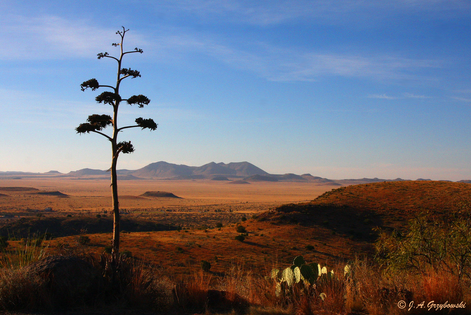 Davis Mountains, Trans Pecos of Texas