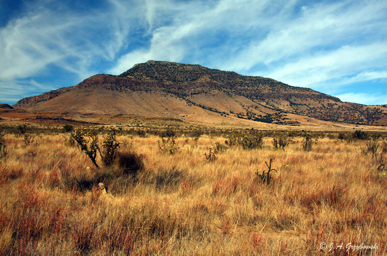 Davis Mountains, Trans Pecos of Texas
