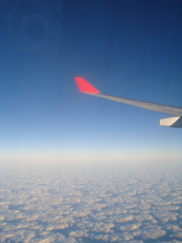View from Plane.jpg
