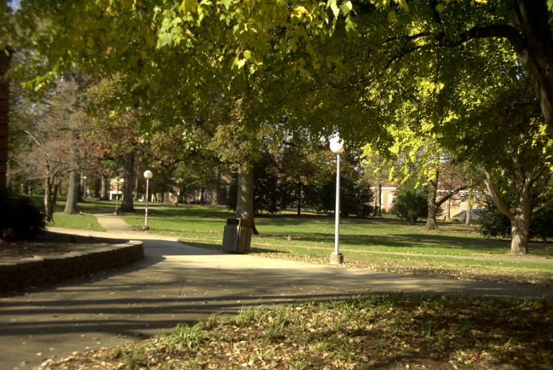 View From Humanties Building.jpg