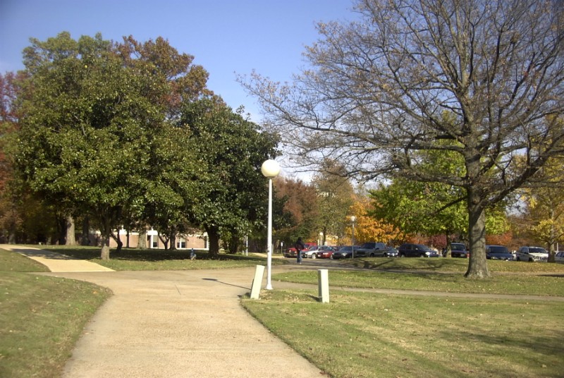 View of Humanties Building.jpg