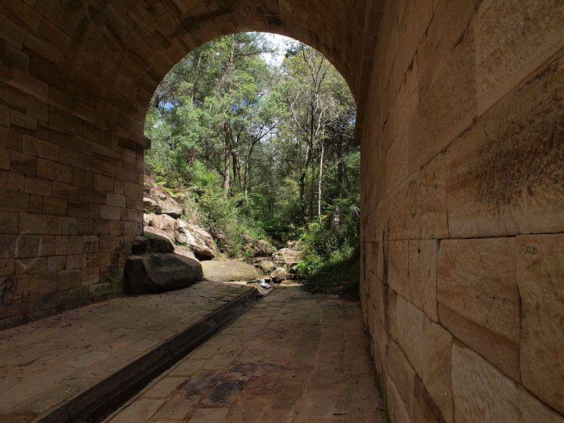 Lennox Bridge frames the forest.