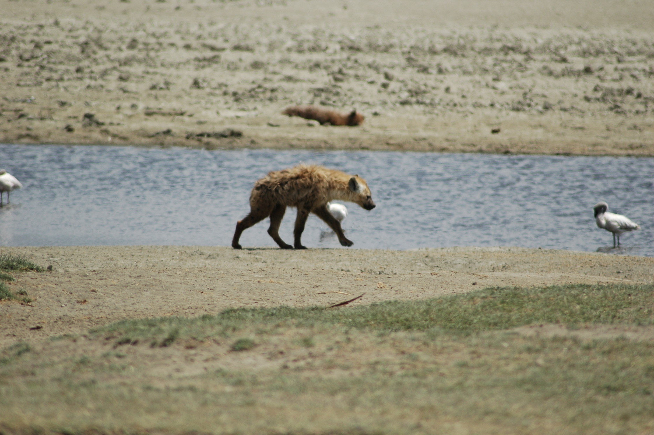 DSC_0141.JPG