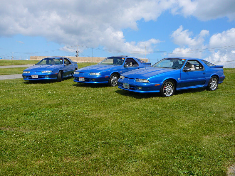 L to R: Jacksons (aka Lotsashelbys), Ralphs (aka Blue Iroc RT), Herbs (aka Goose)