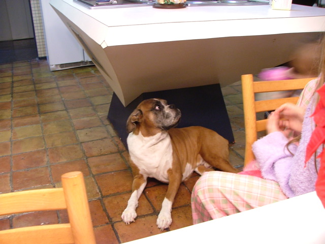 DSCF5092.JPG