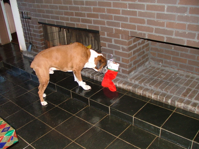 DSCF5108.JPG