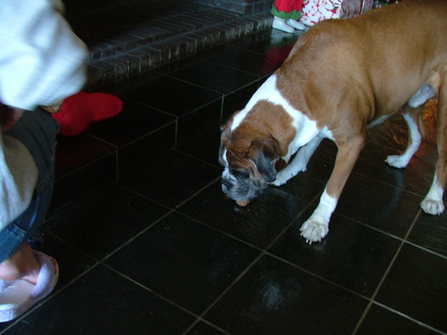 DSCF5113.JPG